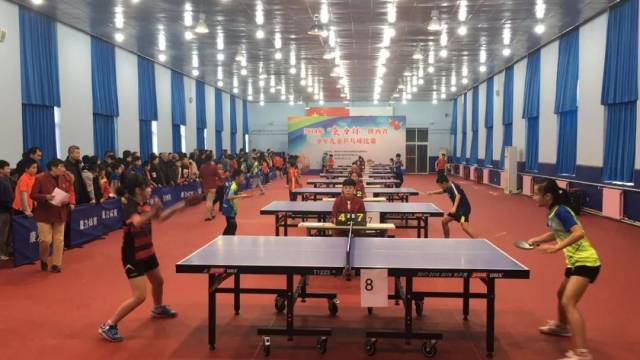 该策略的亮 该策略的亮