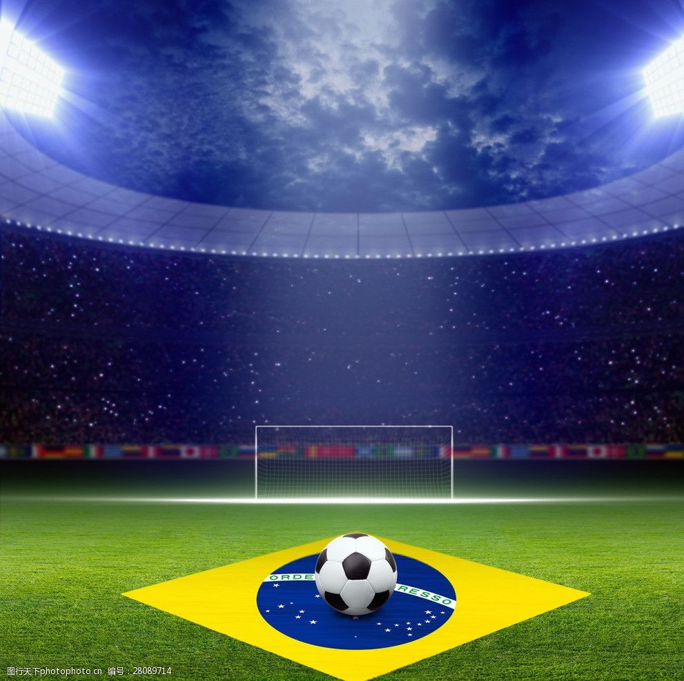 双高的FI 双高的FI